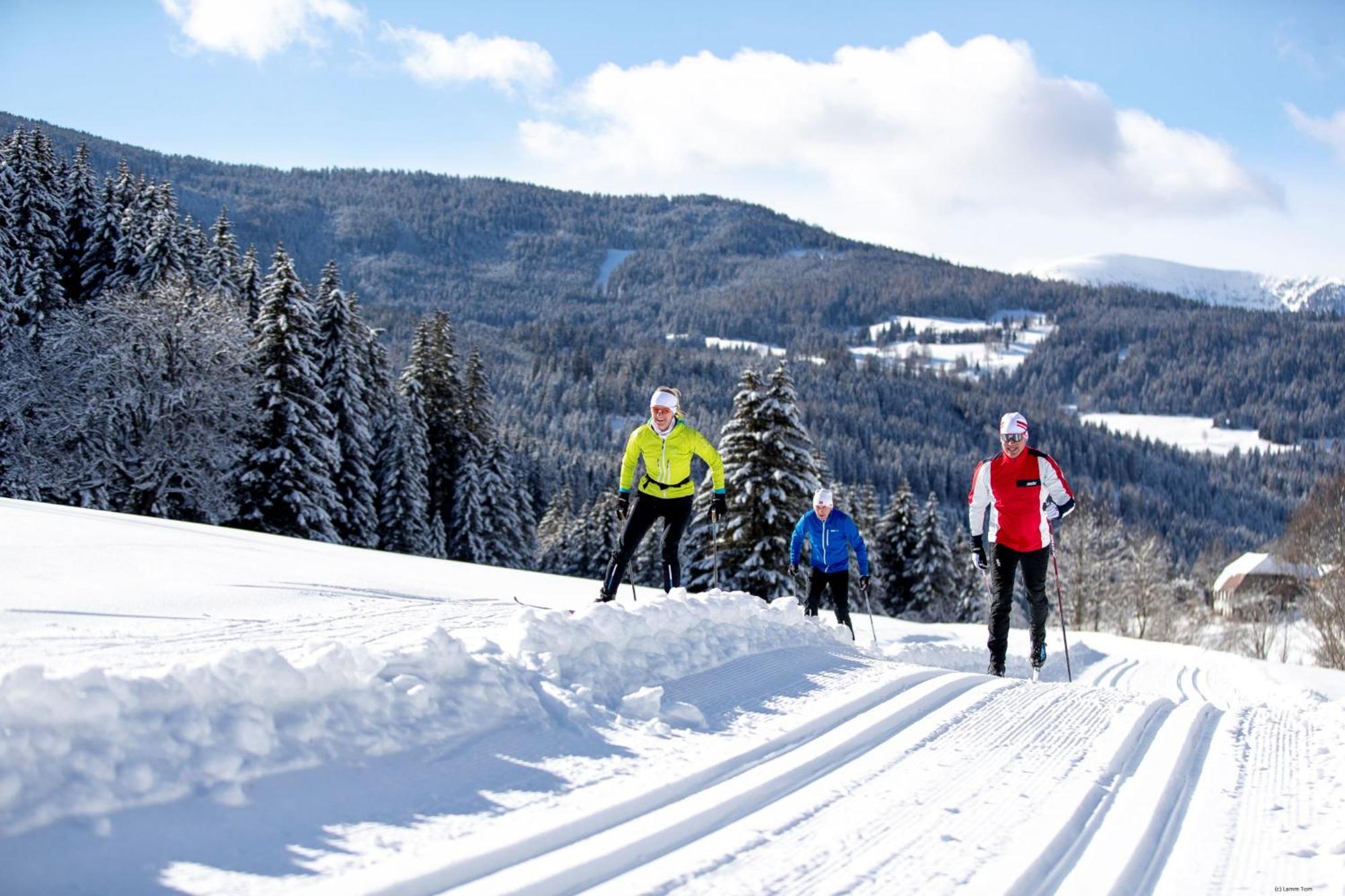 Alpenpark Turrach By Alps Resorts Turracher Hohe 외부 사진